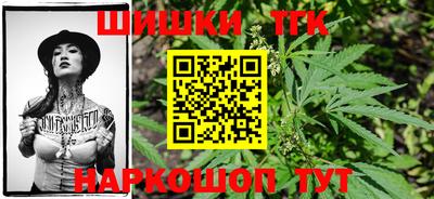 спиды Славгород